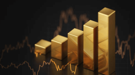 Senior couple reviewing Gold IRA investment options together